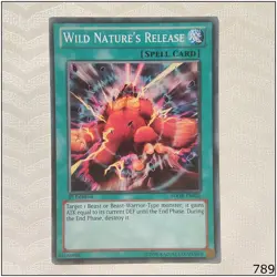Wild Nature's Release - SDOK-EN026 - Common 1st Edition Yugioh - Image 1