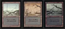 ***3x Beta Swamp*** MTG Beta Magic Kid Icarus - Image 1