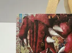 Kyogre and Groudon Legend Holo Rare Card 88/90 Undaunted HGSS MP - Image 2