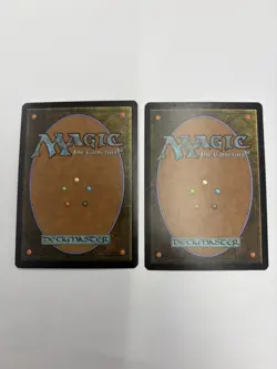 Magic the Gathering MTG Soul's Attendant Set Of 2 Cards LP/MP Condition Pair - Image 2