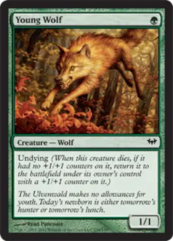 Young Wolf Light Play, English Magic the Gathering MTG Dark Ascension - Image 1