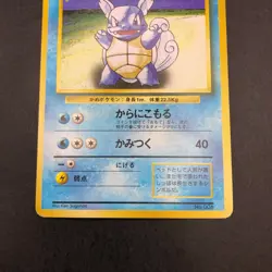 Wartortle No.008 No Rarity Symbol 1ED Base Set - Japanese Pokemon Card - 1996 - Image 4