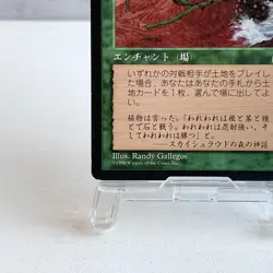 MTG Burgeoning Japanese Stronghold Rare Green Enchantment Ramp Old Frame Magic - Image 4