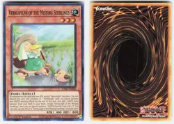 Vernusylph of the Misting Seedlings DABL-EN026 Darkwing Blast Yu-Gi-Oh NM - Image 1