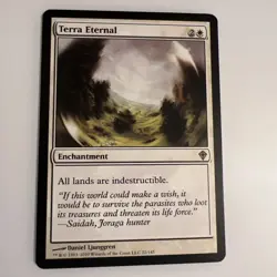 MTG Worldwake Terra Eternal NM - Image 1