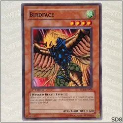 Birdface - SD8-EN009 - Common 1st Edition Yugioh - Image 1