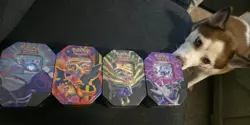 Pokemon TCG EX Tins Mega Charizard, Xerneas, Dialga, Kyogre! Factory Sealed NEW - Image 3