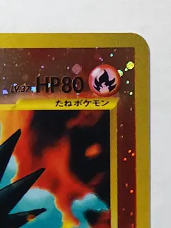 Entei LV.37 No. 244 Japanese Pokemon Card Old Back Holo Nintendo - Image 5