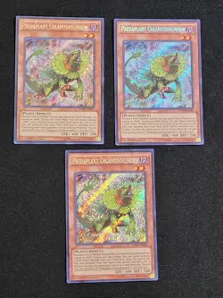 3 X YuGiOh Predaplant Chlamydosundew FUEN-EN005 Secret Rare 1st Edition NM - Image 1