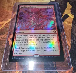 Soul Immolation FOIL 0156 Lorwyn Eclipsed Magic the Gathering MTG - Image 1