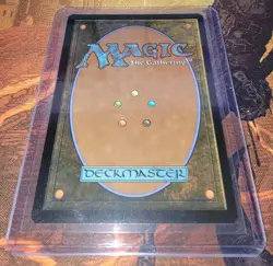 Soul Immolation FOIL 0156 Lorwyn Eclipsed Magic the Gathering MTG - Image 2