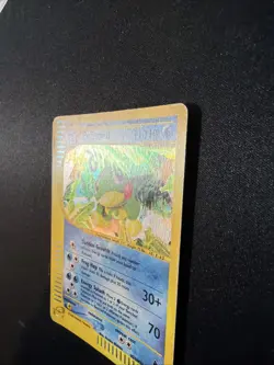 Politoed H23/H32 Skyridge Holo Rare 2003 Pokemon Card MP WOTC Vintage Single - Image 2