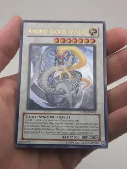 Ancient Sacred Wyvern ANPR-EN043 Ancient Prophecy Unlimited - Image 1