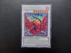 Yugioh - Black Rose Dragon CT05-EN003 Secret Rare - Image 1