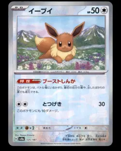 EEVEE 125/187 (MASTER BALL) TERASTAL FESTIVAL POKEMON HOLO NM/M (JP) [US BASED] - Image 2