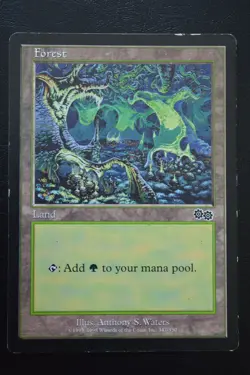 Magic The Gathering MTG FOREST (347) Urza's Saga MP Moderately Played - Image 1
