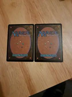 MTG - 2x Emeria Shepherd - Battle for Zendikar - NM - French Edition - Image 2