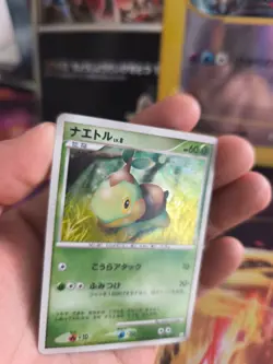 Pokemon Karte Card Turtwig LV. 8 Dp Platinum Half Deck Promo japanese NM- - Image 2