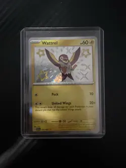 Pokemon Wattrel 145/091 SV: Paldean Fates Shiny Rare Holo Basic 60 HP English - Image 1