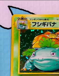 Pokemon Card 1996 Venusaur No Rarity Symbol Base Set Holo No. 068 Japanese - Image 4
