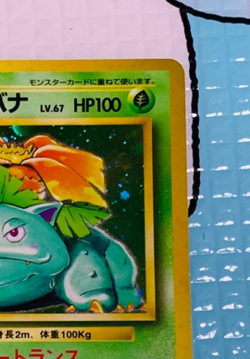 Pokemon Card 1996 Venusaur No Rarity Symbol Base Set Holo No. 068 Japanese - Image 5