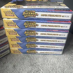 Pokemon TCG Ascended Heroes Mega Ex Feraligatr x 13 Brand New Sealed SEE DESC - Image 3