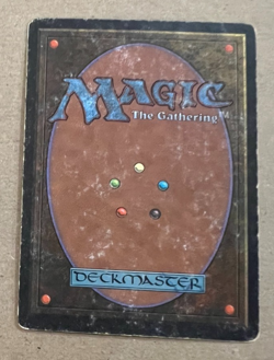 Desert - Arabian Nights - MTG - Magic the Gathering - HP - Image 2