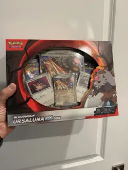 6x Pokemon Bloodmoon Ursaluna ex Boxes (Sealed Lot of 6) - Surging Sparks, etc - Image 2