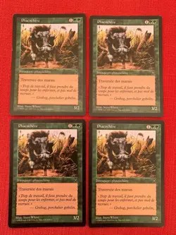 Carte Magic MTG Visions - Phacochere x4 FR EX - Image 1