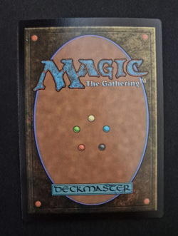 Miirym, Sentinel Wyrm | Secret Lair x D&D | MtG | Foil - Image 2