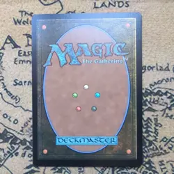Sunpetal Grove - 336 - NM - Commander: The Lord of the Rings - MTG - Image 2