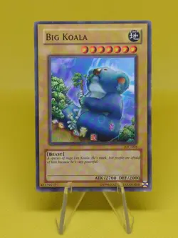 Yugioh - Big Koala (IOC-004) - Common Unlimited - Image 1