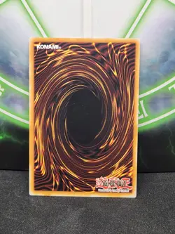Yugioh Call of the Haunted DP04-EN025 Common 1st Edition NM - Image 2