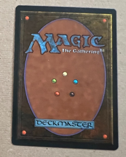 Merchant Scroll (Spanish Language)- Homelands -MTG - Magic the Gathering - Image 2