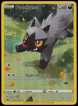 2023 Pokemon Crown Zenith Poochyena GG33/GG70 Holo Galarian Gallery NM - Image 1