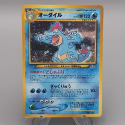 Pokemon Card Feraligatr Lv.69 No.160 Old Back Holo Nintendo EX Japanese t427 - Image 1