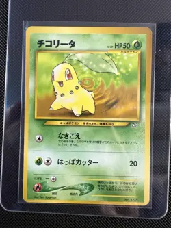 Chikorita Pokemon Neo Genesis 152 - Premium File Japanese NM-MINT UNPLAYED - Image 1