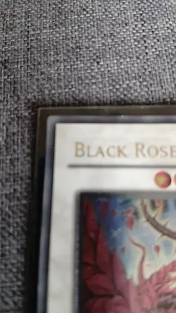 Black Rose Dragon CSOC-EN039 Ultimate Rare 1st Edition Yu-Gi-Oh TCG NM - Image 2