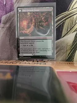 Overgrown Tomb 266 Rare Lorwyn Eclipsed Magic: The Gathering Near Mint - Image 1