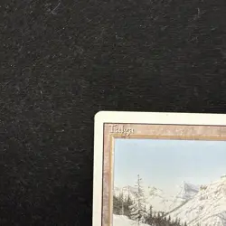 Taiga Revised Edition - Damaged - MTG Magic Card - Image 2