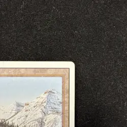 Taiga Revised Edition - Damaged - MTG Magic Card - Image 3