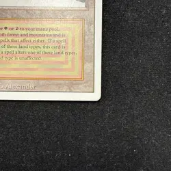 Taiga Revised Edition - Damaged - MTG Magic Card - Image 4