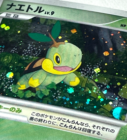 Japanese Pokemon Card Turtwig 001/PPP DP Promo Holo Clean LP+ 2007 - Image 2