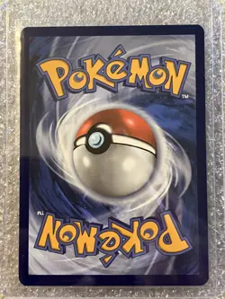 Pokemon Illustration Contest 2024 Promo Cards Set of 3 - Image 3
