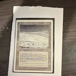 Magic: The Gathering Tundra Revised Edition Rare Regular Land Jesper Myrfors - Image 4