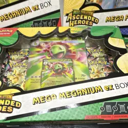 Pokemon Mega Evolution Ascended Heroes Box Set Meganium Feraligatr LOT 5 - Image 4