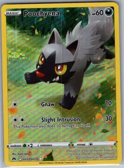 Poochyena GG33/GG70 SWSH: Crown Zenith: Galarian Gallery - Pokemon Card - NM - Image 1