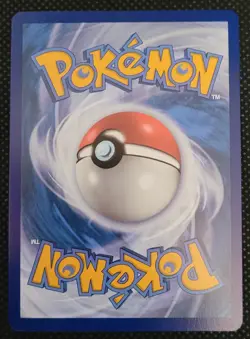 Charizard V SWSH050 SWSH: Sword & Shield Promo Cards Holo NM - Image 2