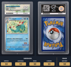 Pokemon TCG Feraligatr Illustration Contest 2024 ACE 10 SVP 213 - Image 3