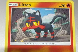 POKEMON TCG LITTEN 24/149 RARE HOLO MINT FROM PACKET TO SLEEVE - Image 2